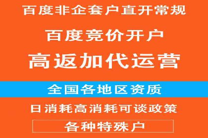 SEM优化策略：打造高效广告投放案例